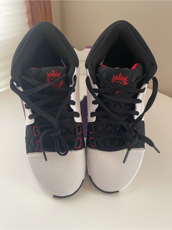 Lebron Witness VIII White/Balck/University Red Size 10 Men main image 5